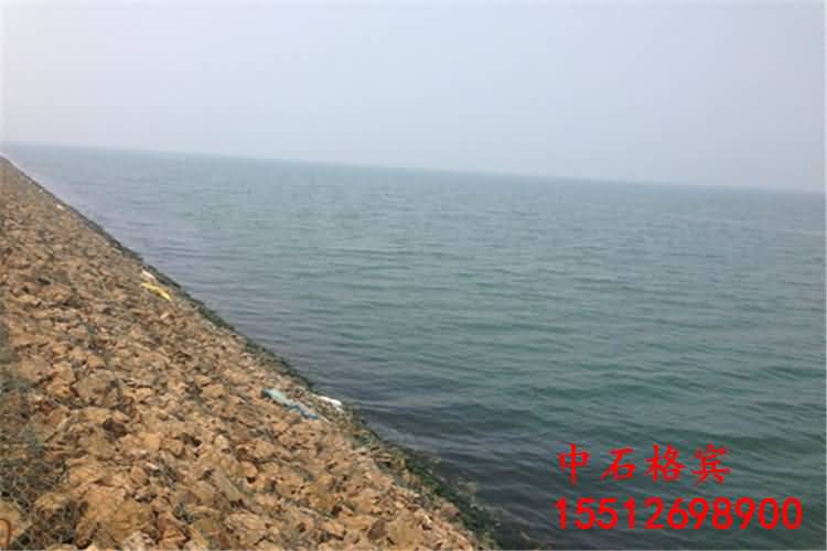 123711.jpg 123711.jpg